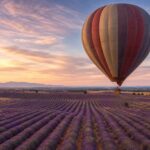 Montgolfière Plateau de Valensole